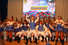 Prinzenfruehschoppen (262)