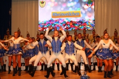 Prinzenfruehschoppen (263)