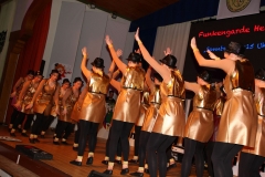 Prunksitzung (230)