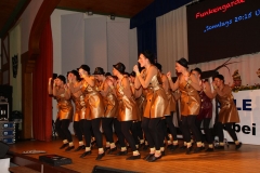 Prunksitzung (231)