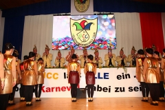Prunksitzung (237)